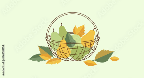 Charming illustration of a wire basket overflowing with pears and autumn leaves for harvest season