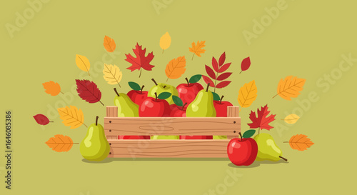 Autumn harvest illustration with wooden crate filled apples and pears and leaves, on olive green background
