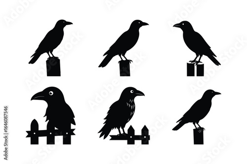 Crow on fence post silhouette vector illustration black halloween artboard