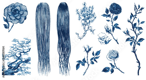 Elegant blue floral and nature collection with roses and flowing hair artistic design element concept for graphic design and fashion art vector illustration
