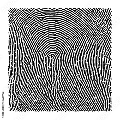 Detailed fingerprint pattern identification and analysis for security and forensic science use cases research 100