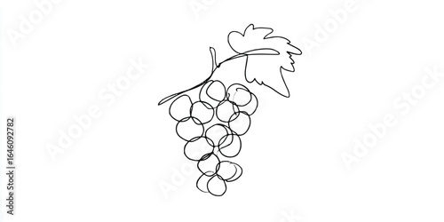 Elegant Continuous Line Drawing of Ripe Grapes Bunch with Leaf on White Background Perfect for Minimalist Design and Botanical Themed Projects