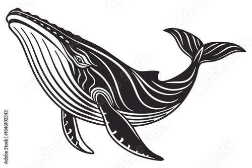 Stylized Black and White Humpback Whale Illustration.