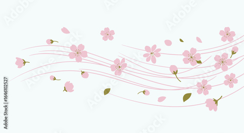 Elegant cherry blossom vector design with flowing lines for spring greetings card and background banner with nature theme