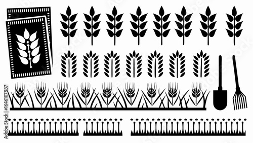 Illustration of wheat stalks in rows with seed packets and gardening tools in black and white style