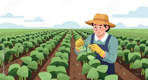 Farmer Inspecting Crops: Sustainable agriculture practices for healthy food production are essential to secure future food