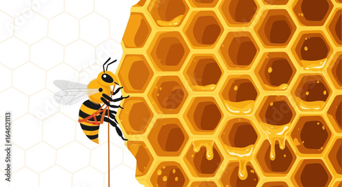 Illustration of a bee climbing a honeycomb dripping with sweet honey for honey production and beekeeping concept