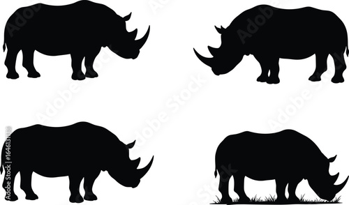 Silhouettes of four rhinoceroses in various poses, black rhino shapes isolated on white background, wildlife animal nature illustration