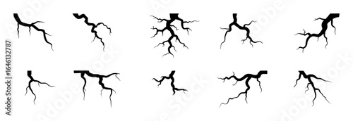 Black branching cracks on white background fissure fracture