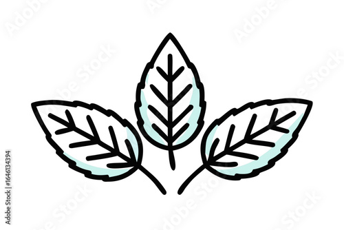 Stylized mint leaves with light blue highlights isolated on transparent background
