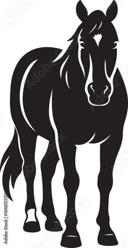 Black horse standing on white, Equine animal silhouette illustration