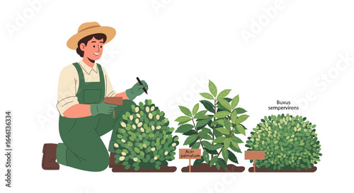 Illustration of a Smiling Gardener Labeling Plants in a Garden Setting with Care