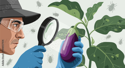 Illustrative depiction of pest management and plant health inspection process inspection