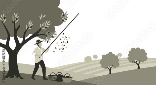 Illustration of a farmer harvesting olives from a tree in a traditional way monochrome style