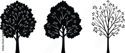 Silhouettes of three trees with full, dense, and sparse foliage, nature elements in black isolated on white background