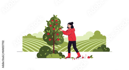 Illustration of a woman picking fruits from a tree in a field on a sunny day with fresh food and vibrant colors