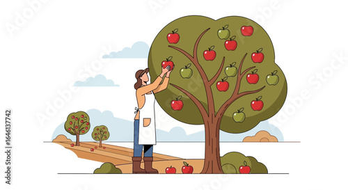 Illustration of a woman picking apples from an apple tree in a rural landscape featuring apple orchard agriculture and autumn harvest