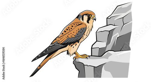 Illustration of a majestic kestrel perched on a rocky outcrop against white backdrop