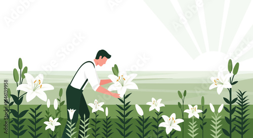 Illustration of a man tending to a field of elegant white lilies at sunrise