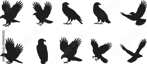 Eagle silhouette vector set, black hawk bird illustration, flying raptor shapes, predatory bird clipart, wild animal shadow art, hunting pose