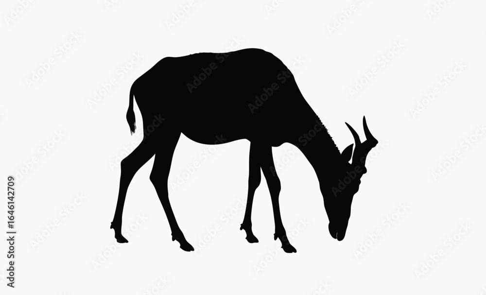 Fototapeta premium Hartebeest silhouette, African antelope vector, wild savanna animal icon, black wildlife illustration, Red Hartebeest Solid Vector Silhouette 