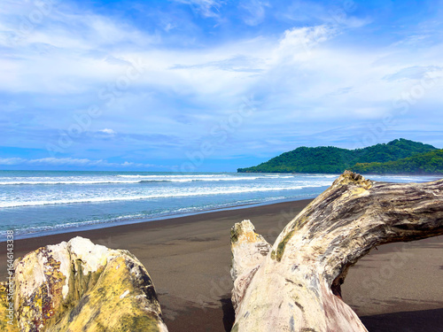 Camaronal Beach in Costa Rica with dark sand, blue ocean, and weathered driftwood in the foreground. A wild and natural landscape, perfect for conveying adventure, tranquility, and tropical beauty.
