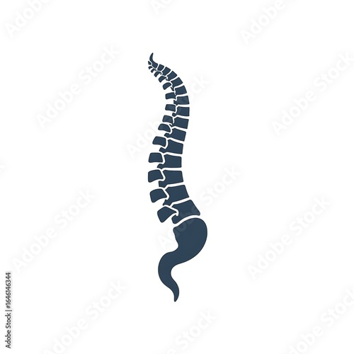 An anatomical human spinal spring with a spiral footprint design