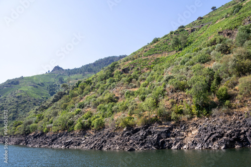 Boat tour through the Sil Canyon in Ribeira Sacra, Galicia, Spain, departing from Embarcadoiro da Ponte do Sil, Monforte de Lemos. Scenic river and vineyards.