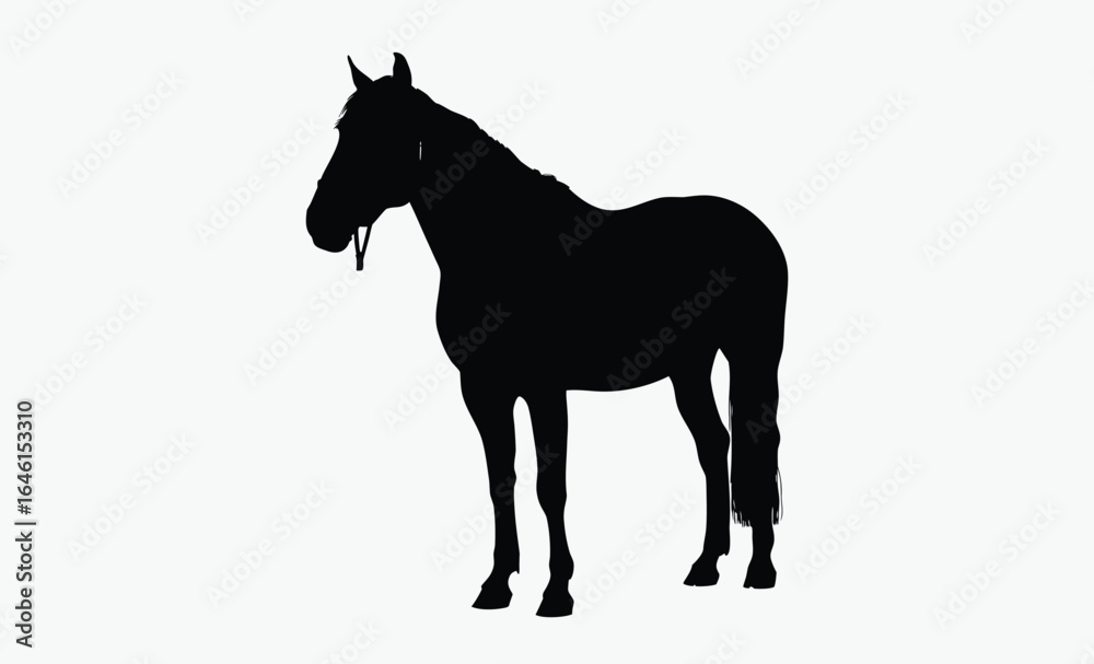 Obraz premium Horse silhouette, equestrian animal vector, domestic livestock icon, black farm creature illustration, Halter Quarter Horse silhouette 