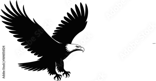 Eagle soaring freedom bald eagle bird of prey american symbol wildlife majestic wings flying animal illustration vector illustration