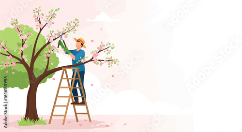 Man Pruning Blooming Spring Tree Gardening Work With Pruners on Ladder
