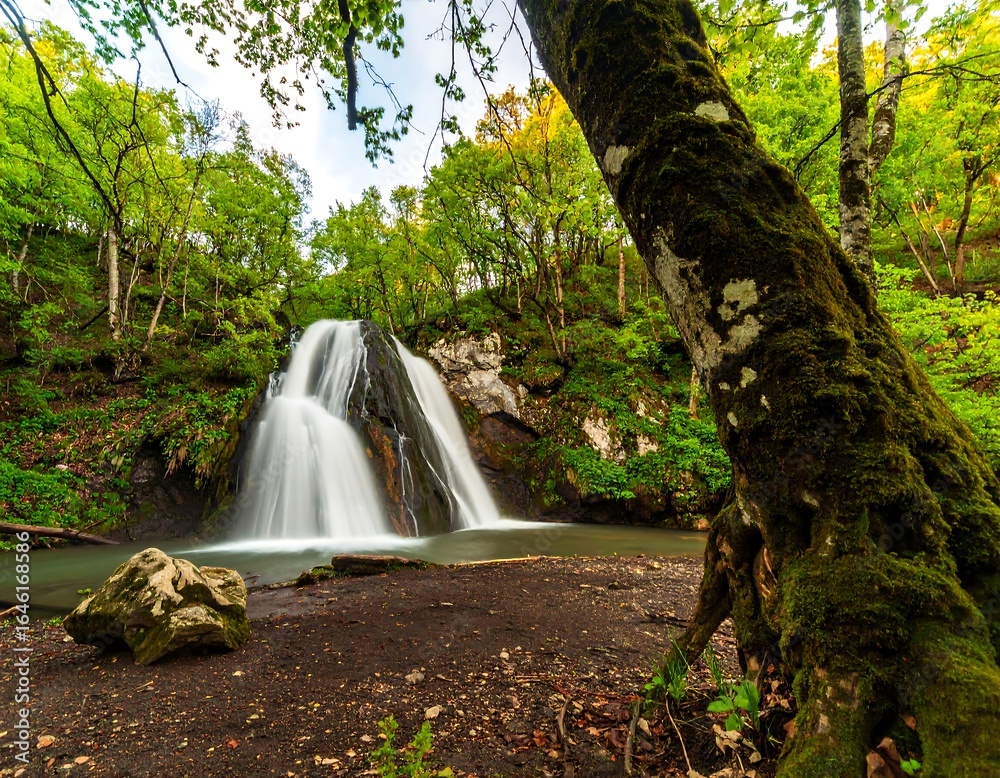 Obraz premium Waterfall cascading in lush forest