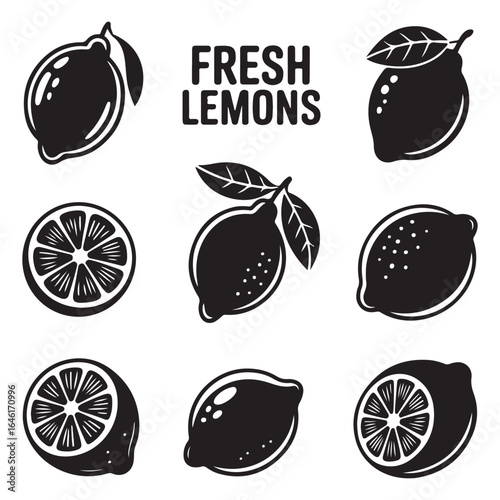 set of  orange fruits vector 