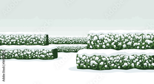 Serene winter landscape featuring snow-covered hedges under an overcast sky