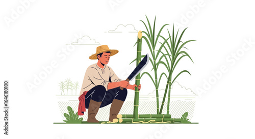 Sugarcane Harvest Man Cutting Stalks In The Field Agriculture Lifestyle Minimalist