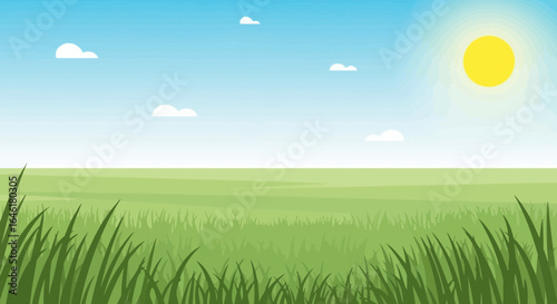 Sunny Day Landscape Illustration Of Green Field And Blue Sky