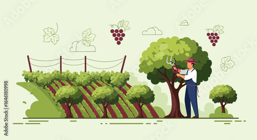 Vintage Grape Harvest Preparation Scene With a Man Pruning Trees on a Vineyard