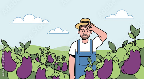 Tired Farmer Harvesting Eggplants on a Sunny Day at His Cultivated Field