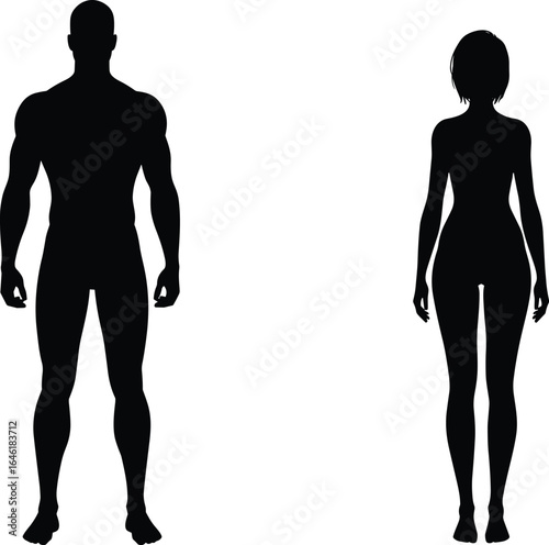 Human body silhouettes, male and female forms, muscular and slender build, standing pose, black on white, minimal vector design