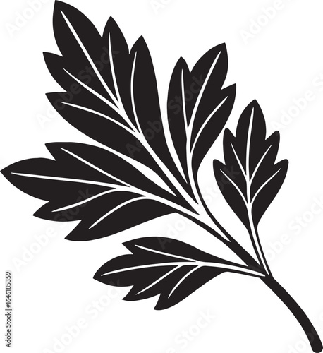 Elegant Leaf Silhouette