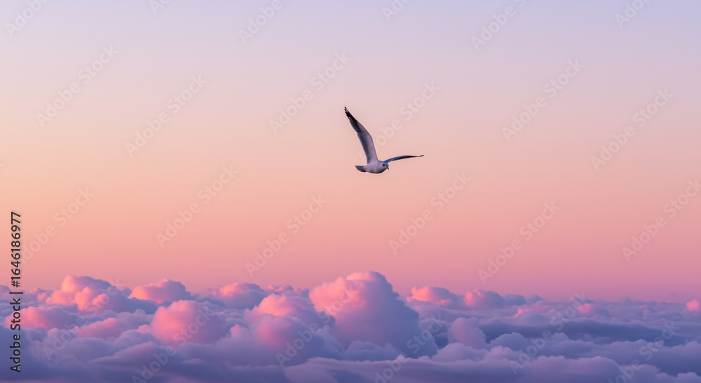Obraz premium Lone seagull soars above cotton candy clouds at sunset symbolizing freedom and tranquility in pastel skies breathtaking scene