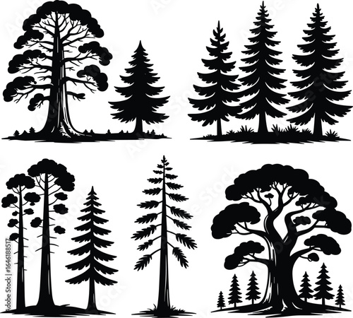 Pine and forest tree silhouette set, evergreen conifer tree illustration, black vector nature elements, woodland landscape, isolated tree graphics