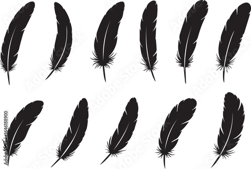 Feather icons, black feather icons isolated on white, feather silhouettes vector set, minimalist feather symbol for logo design, feather clipart for branding and decoration