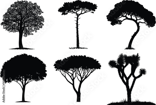 Tree silhouette vector collection, isolated black trees, forest plant elements, landscape nature design, tropical and temperate tree shapes illustration set