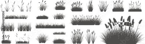 Vector cattail grass silhouettes collection, wetland plants icons, marshland nature elements, reed grass shapes, swamp vegetation vector, natural plant symbols, botanical illustrations