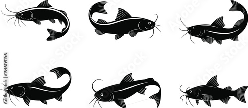 Vector illustration of six black catfish silhouettes, aquatic freshwater fish set, underwater wildlife, fishing, nature design, water animal icons