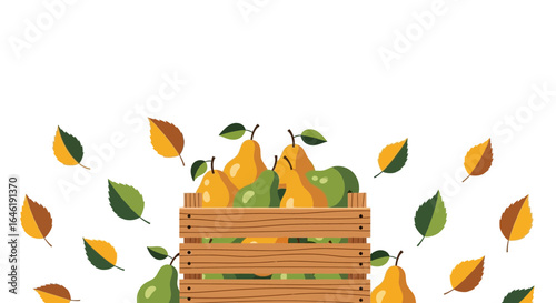 Wooden crate filled with green and yellow pears and autumn leaves in white background