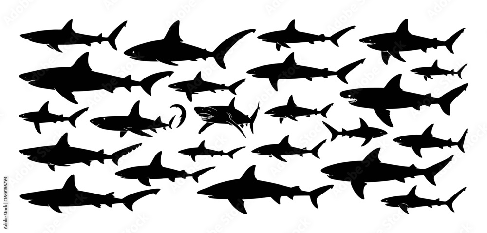 Fototapeta premium Black shark silhouettes swimming ocean water marine life white