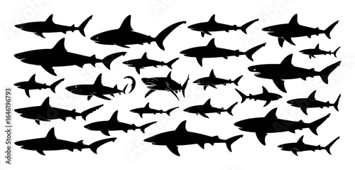 Black shark silhouettes swimming ocean water marine life white