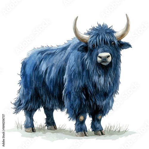 Wild Yak, watercolor illustration vector, isolated on a white background.